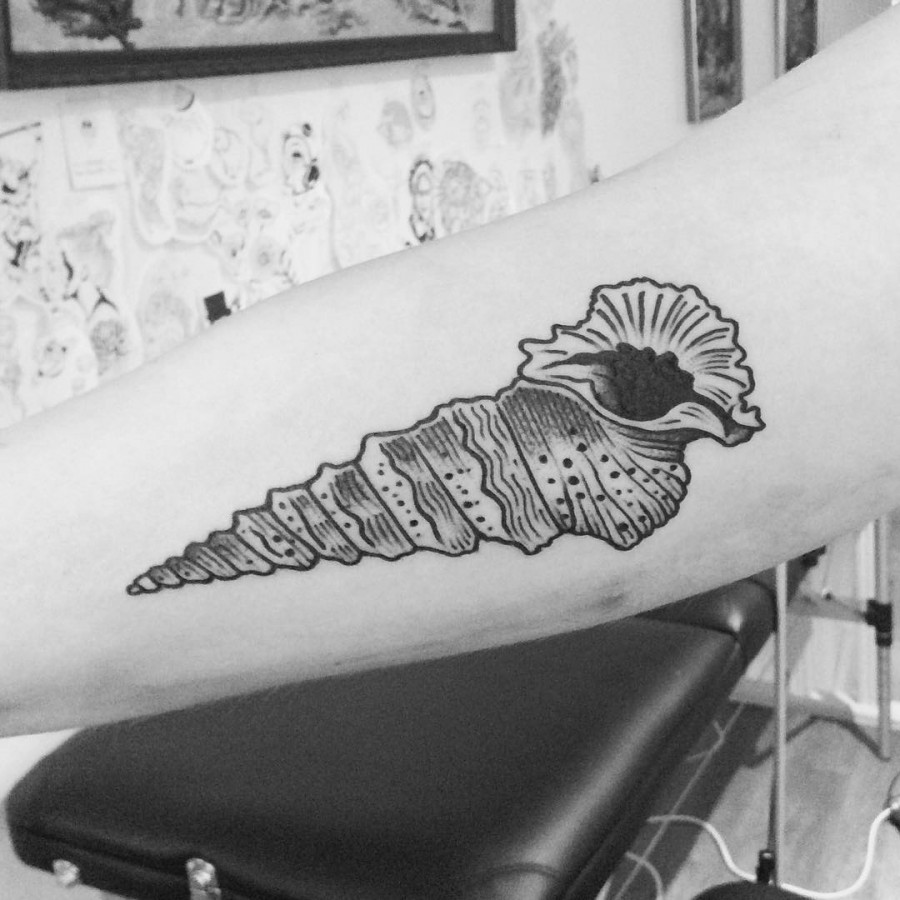 gorgeous seashell tattoo by armelle stb