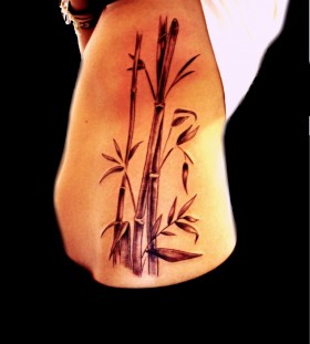 Great bamboo side tattoo