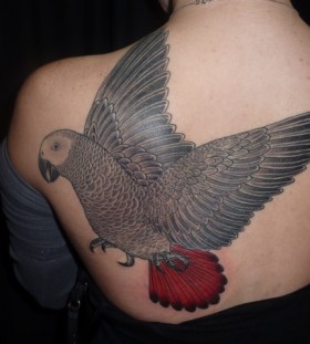 Grey parrot back tattoo