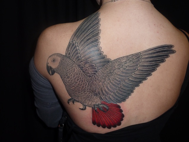 Grey parrot back tattoo