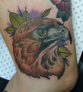 Hawk tattoo by Drew Shallis