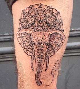 jeykill-bleunoir-elephant-blackwork-tattoo