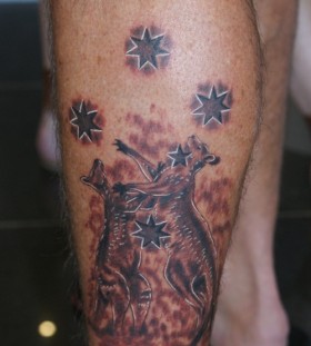 Kangaroos and stars tattoo