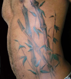 Large bamboo side tattoo