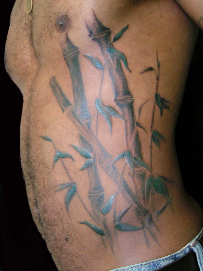 Large bamboo side tattoo