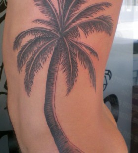Large palm tree tattoo