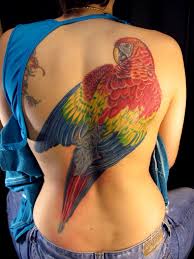 Large parrot back tattoo