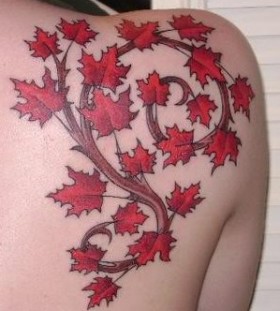 Lovely maple leaves back tattoo