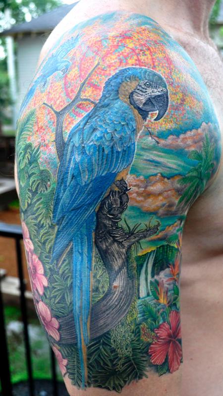 Lovely parrot arm tattoo