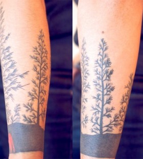 Lovely pine tree and wolf tattoo