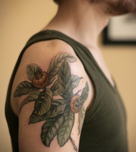 Medlar fruit tattoo by Alice Kendall