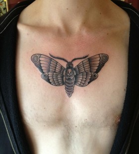 Moth with skull chest tattoo