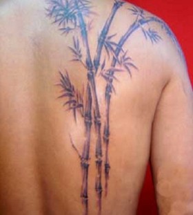 Nice bamboo tree back tattoo