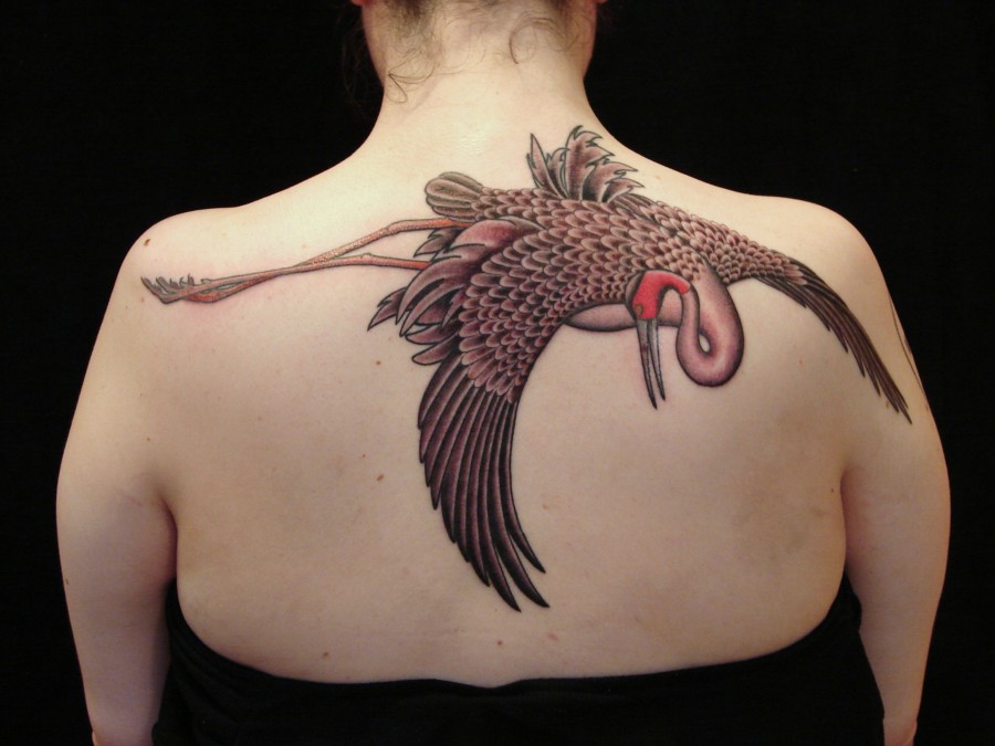 Nice crane back tattoo