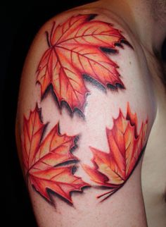 Nice maple leaves arm tattoo