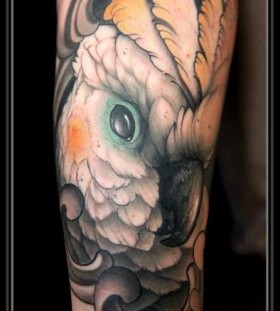 Nice parrot arm tattoo