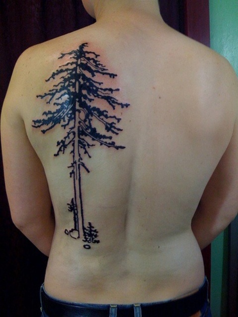Nice pine tree back tattoo