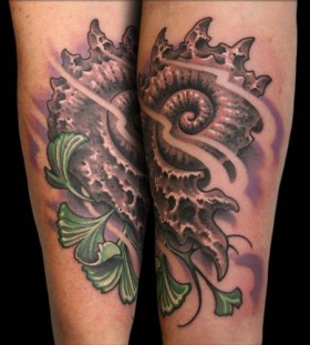 Nice sea shell tattoo