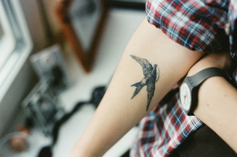 Nice swallow arm tattoo