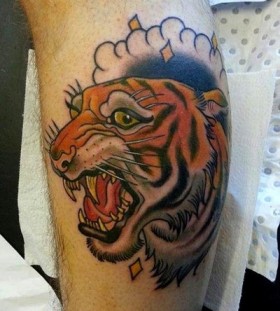 Nice tiger tattoo by Drew Shallis