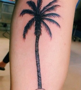 Palm tree leg tattoo