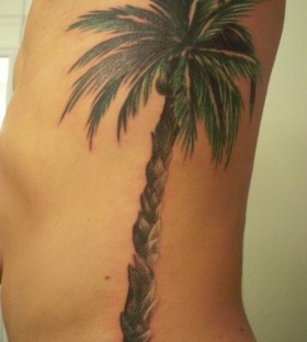 Palm tree side tattoo