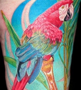 Parrot and tree tattoo