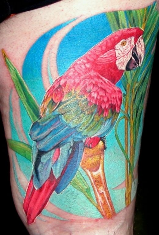 Parrot and tree tattoo