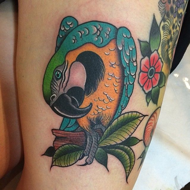 Parrot on a branch tattoo by Clare Hampshire