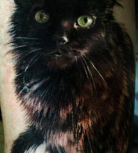 Photorealistic black cat tattoo