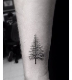 Pine tree tattoo by Dr Woo