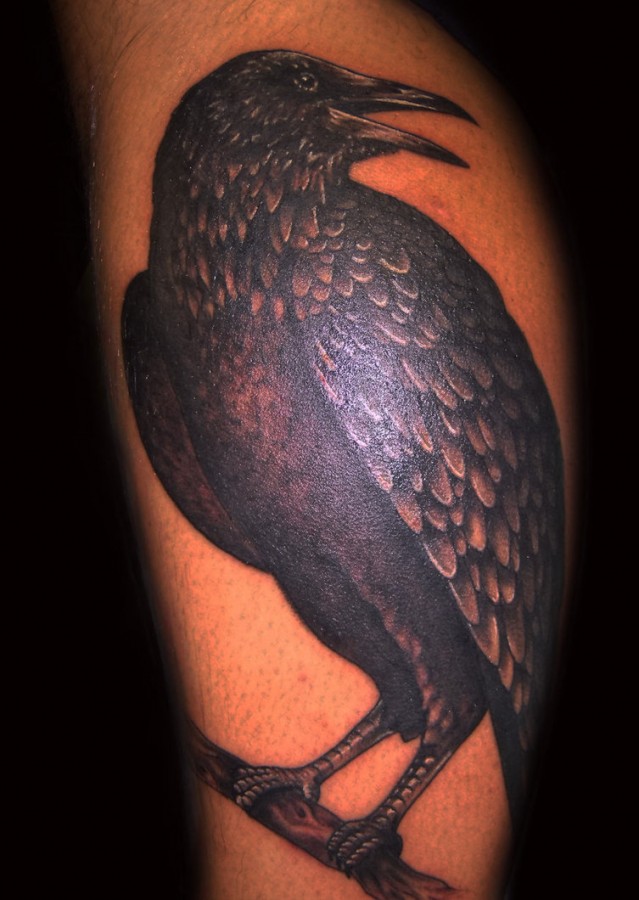 Raven on a branch arm tattoo