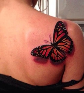 Realistic butterfly tattoo by Jon Mesa