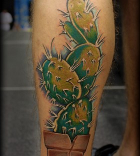 Realistic cactus leg tattoo