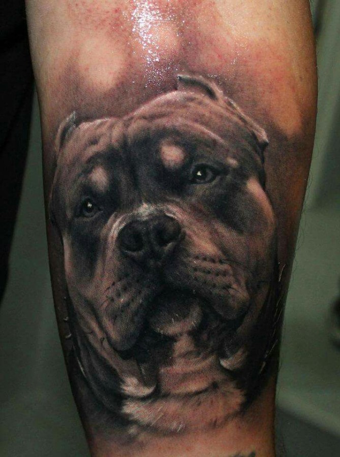 Realistic dog tattoo by Riccardo Cassese
