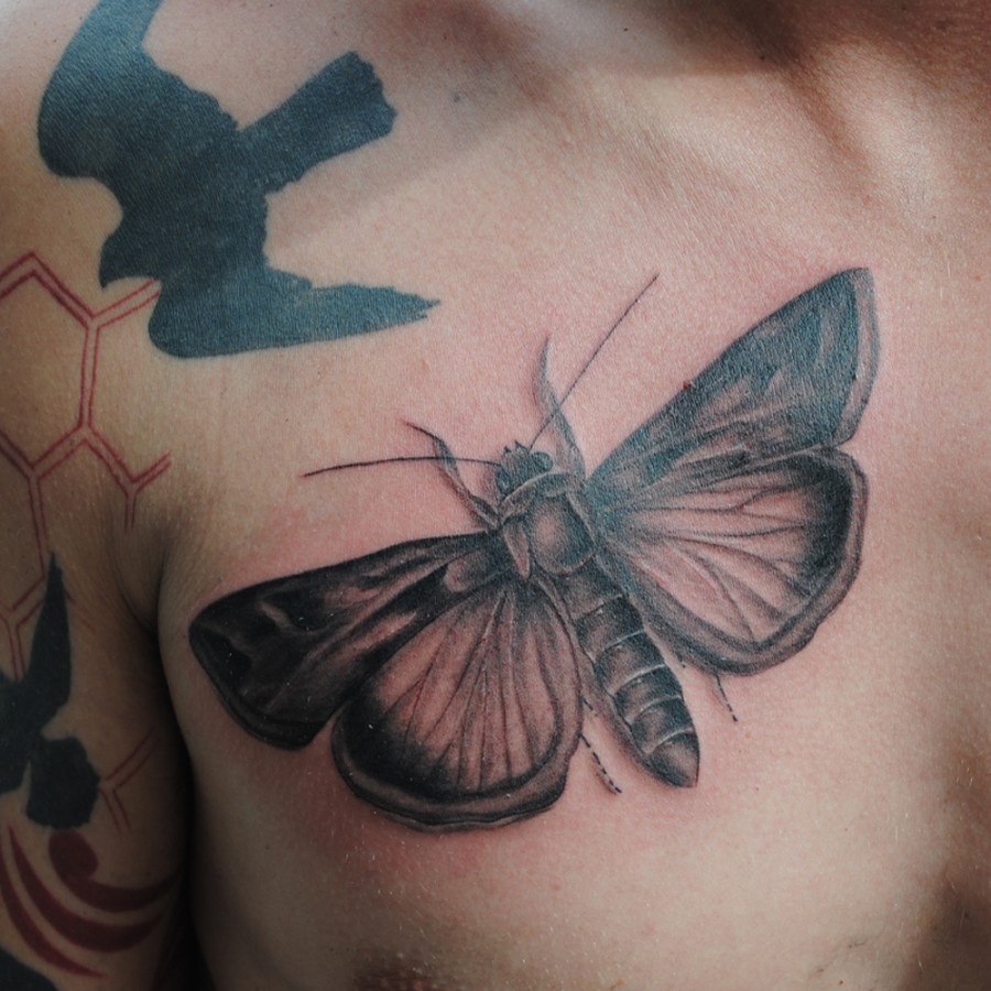Realistic moth chest tattoo