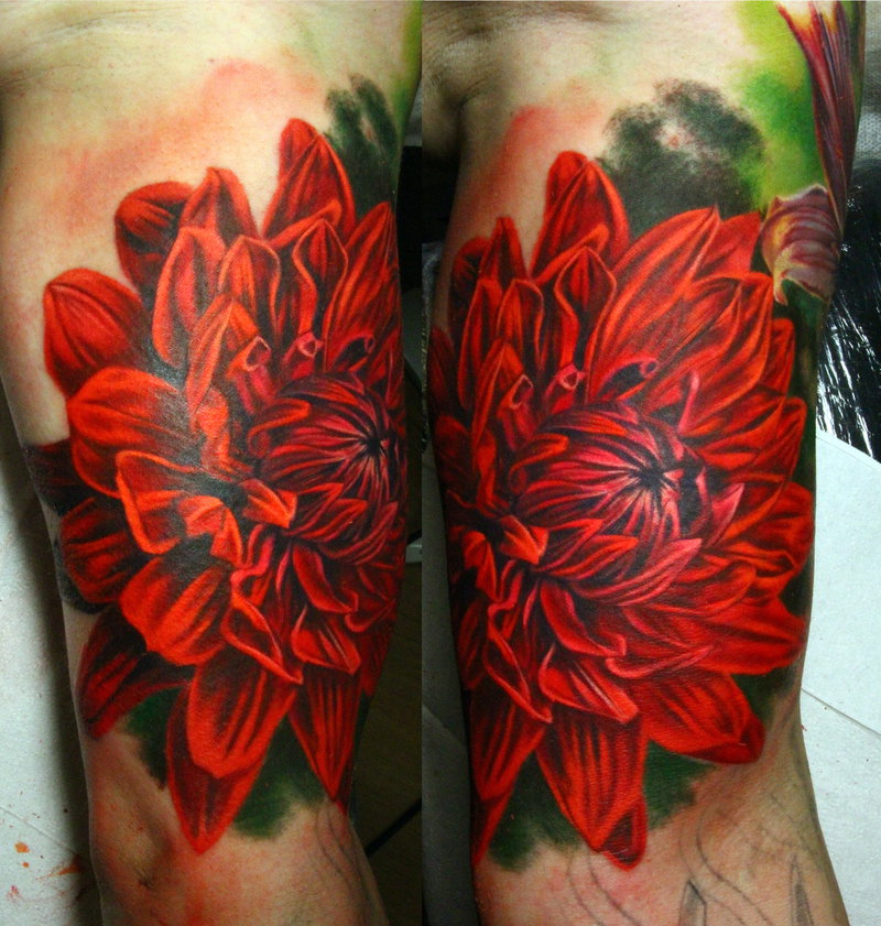 Realistic red dahlia tattoo