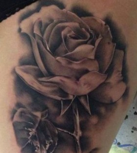 Realistic rose tattoo by Razvan Popescu
