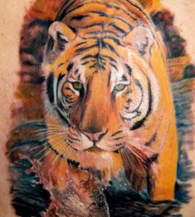 Realistic tiger tattoo by Kyle Cotterman