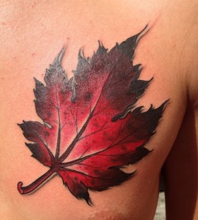 Red maple leaf chest tattoo