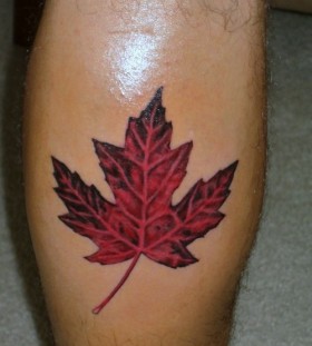Red maple leaf leg tattoo