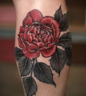 Red rose tattoo by Alice Kendall
