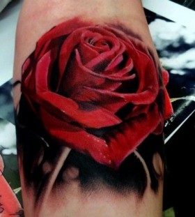 Red rose tattoo by Kyle Cotterman