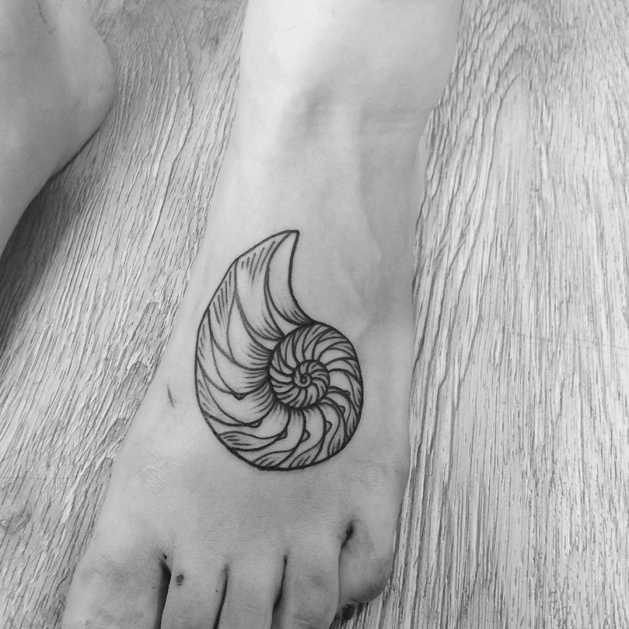 seashell fossil tattoo by armelle stb