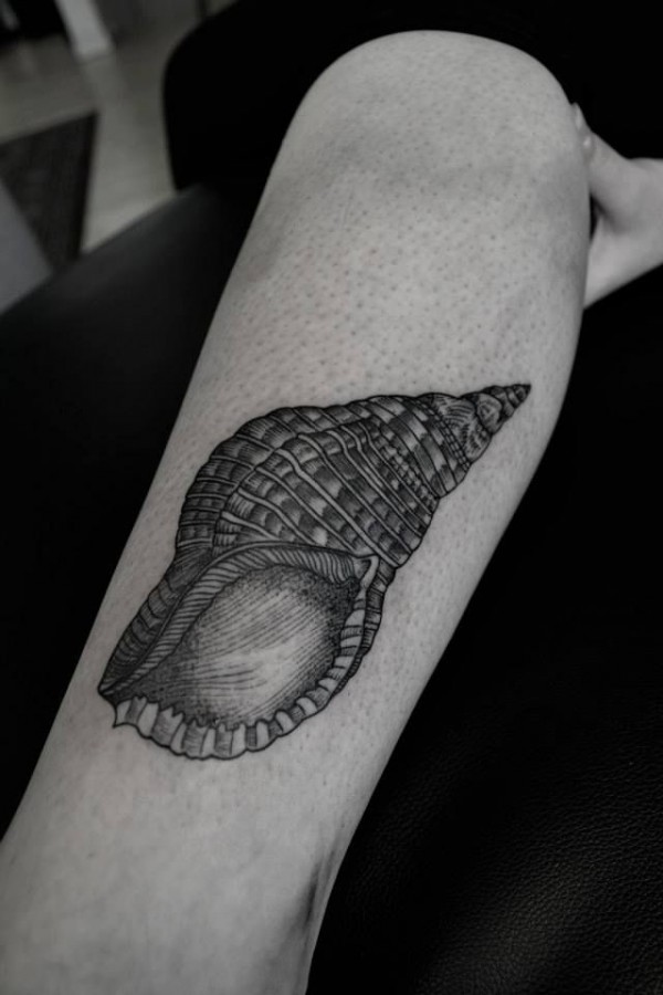 Shell tattoo by Thomas Cardiff