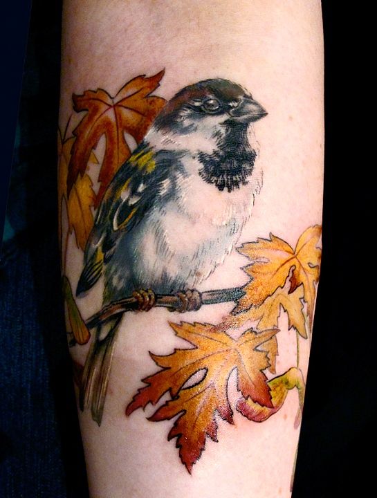 Sparrow on a branch tattoo by Esther Garcia