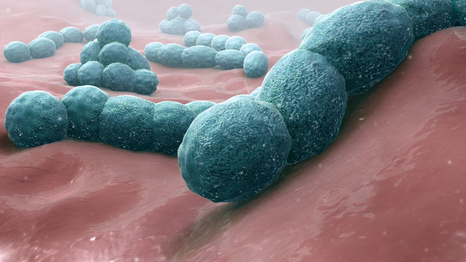 Streptococcus Pneumoniae - Causes, Prevention, Treatment