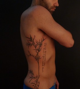 Stunning bamboo side tattoo