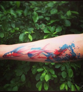 Stunning blue and red fish tattoo