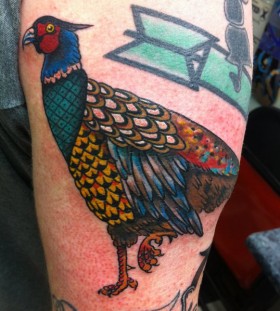 Sweet colourful pheasant tattoo